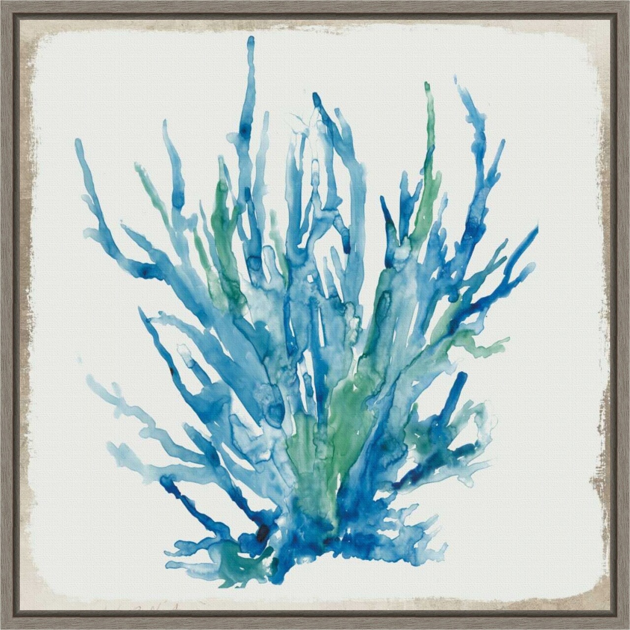 Blue Coral II by Aimee Wilson 16-in. W x 16-in. H. Canvas Wall Art Print Framed in Grey